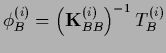 $\phi_B^{(i)} = \left({{\bf K}}_{BB}^{(i)}\right)^{-1} T_B^{(i)}$